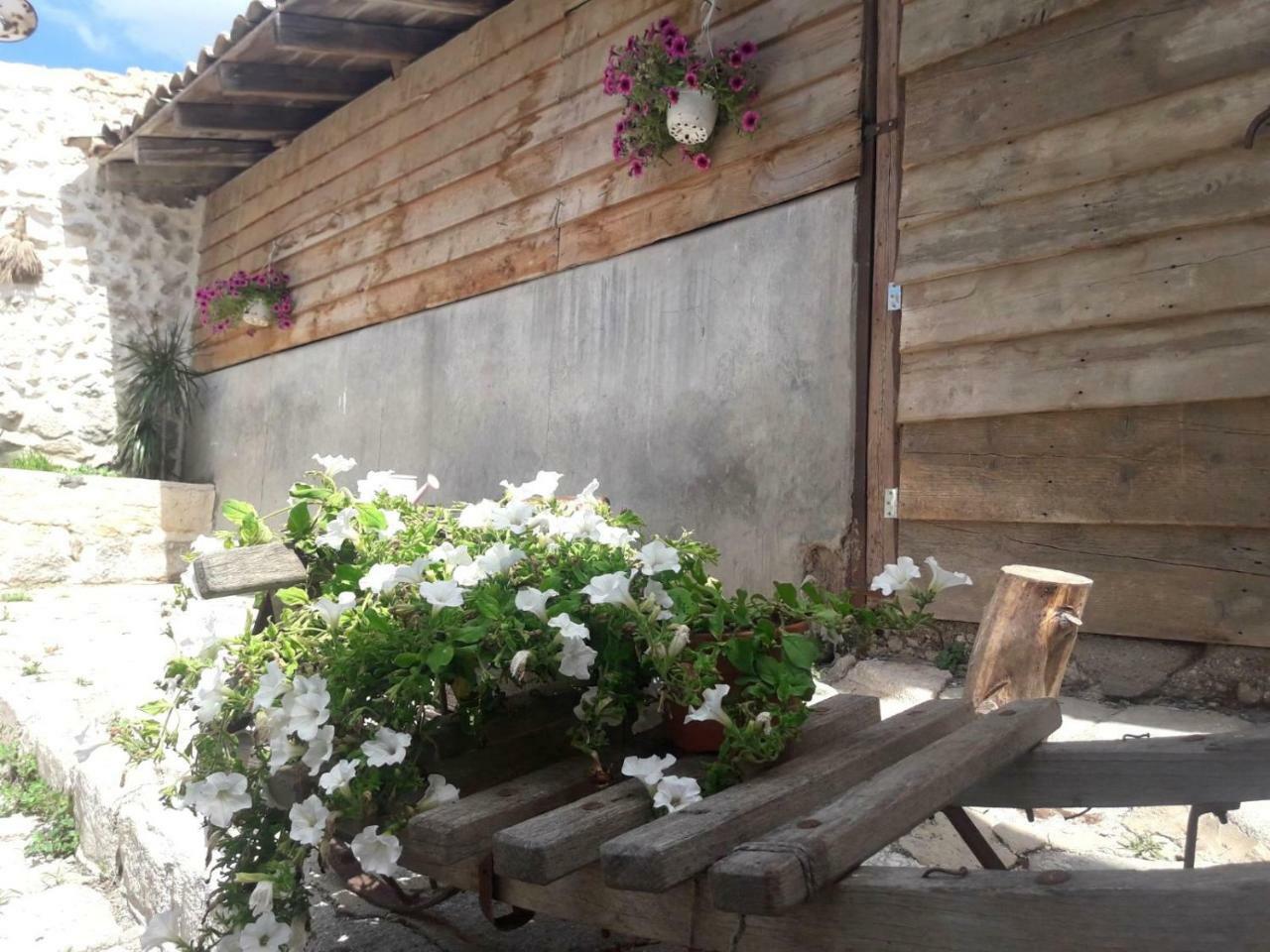 Le Mangiatoie Del Cavaliere Bed & Breakfast
